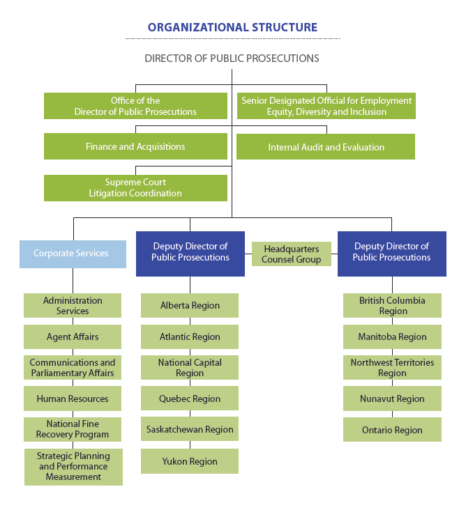 Organizational Structure graphic