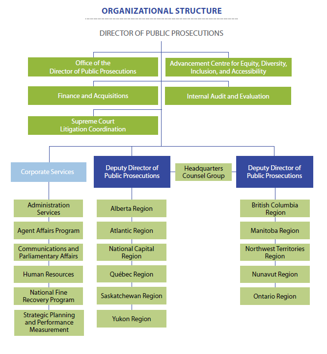 Organizational Structure graphic