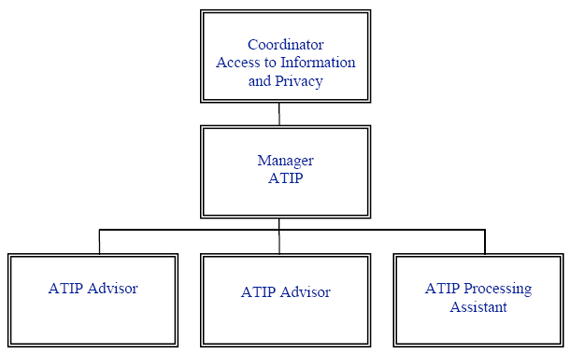 Organizational Structure